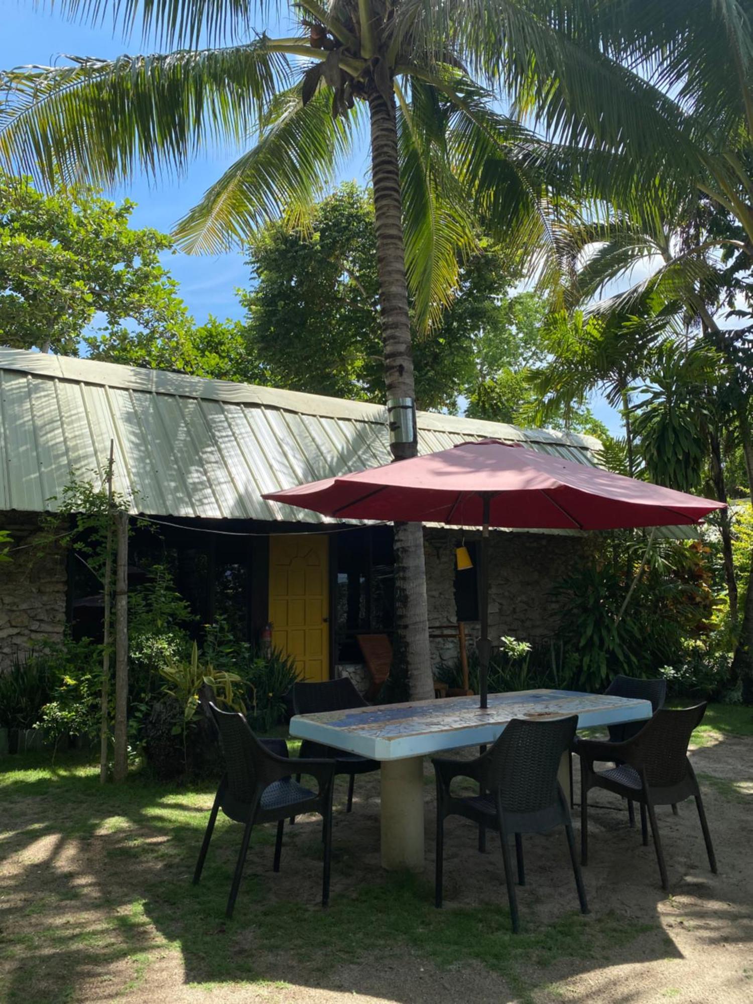 Ravenala Beach Bungalows Moalboal Eksteriør billede