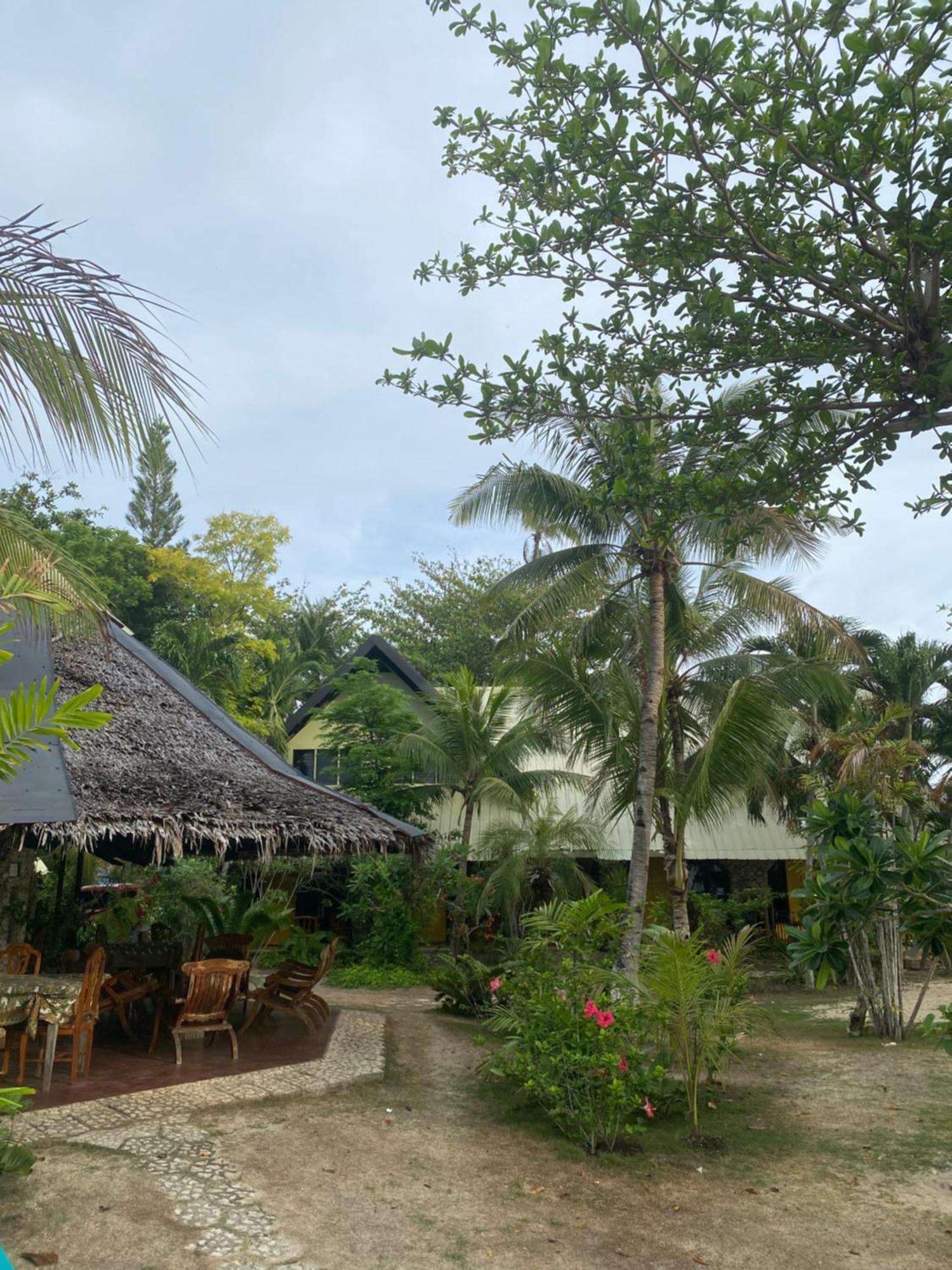 Ravenala Beach Bungalows Moalboal Eksteriør billede
