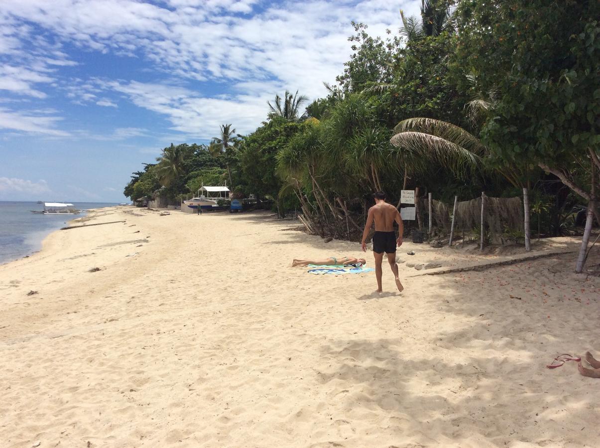 Ravenala Beach Bungalows Moalboal Eksteriør billede