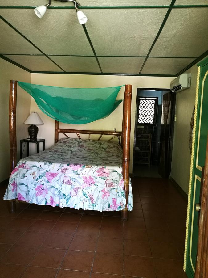 Ravenala Beach Bungalows Moalboal Eksteriør billede